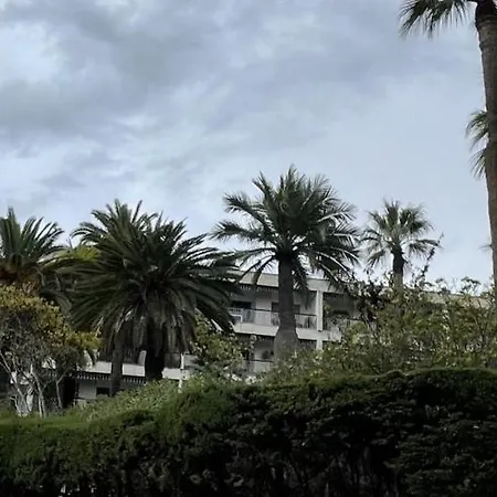 Vaste 4p Bord De Mer, Terrasse, Piscine 263l Dilli Cannes